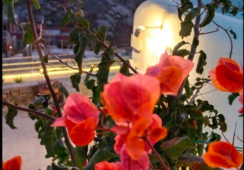 αrcs Suites & Residences