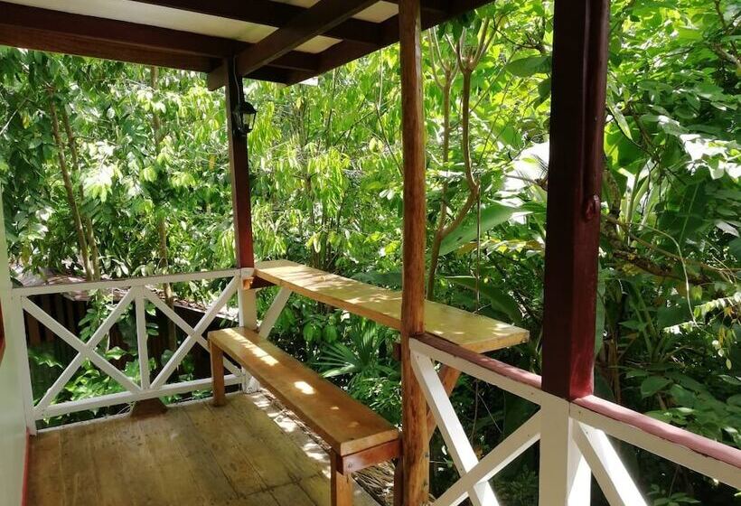 هتل Cabinas Talamanca