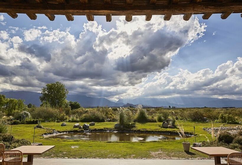 Отель Casa De Huespedes Gimenez Riili