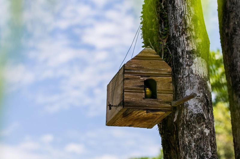 בית מלון כפרי Paraiso Ecologico Pousada & Spa