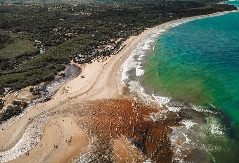 בית מלון כפרי Paraiso Ecologico Pousada & Spa