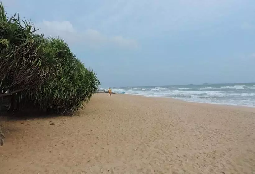 ホテル Sea View Beach