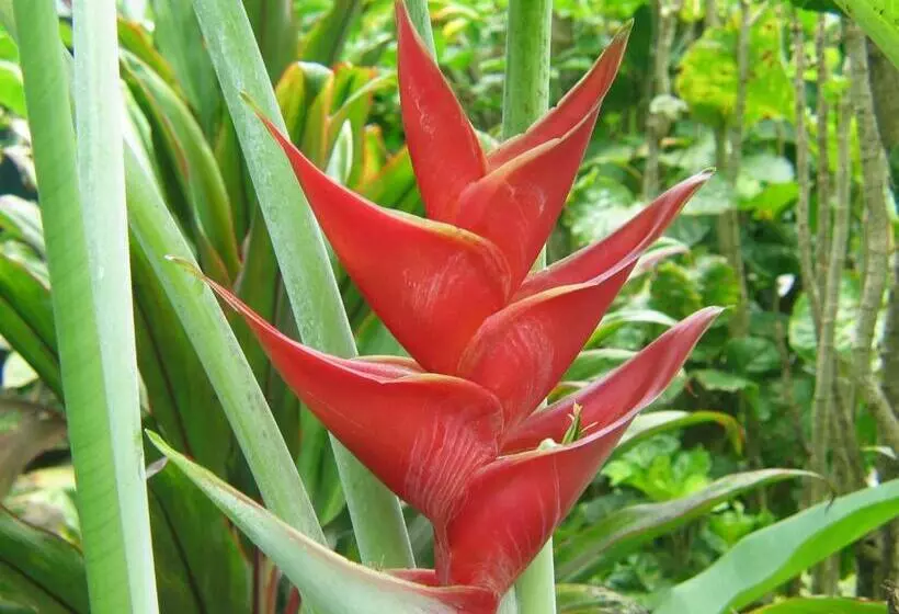 Sunhaven Beach Bungalows