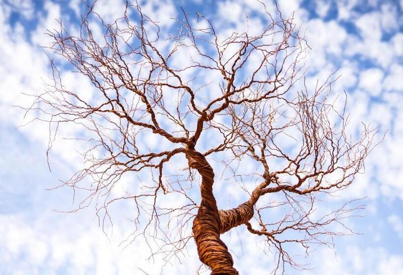 Bed & Breakfast La Casa De José