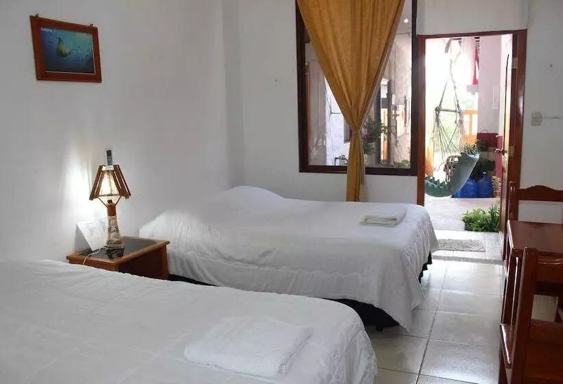 Galapagos Best Hostel