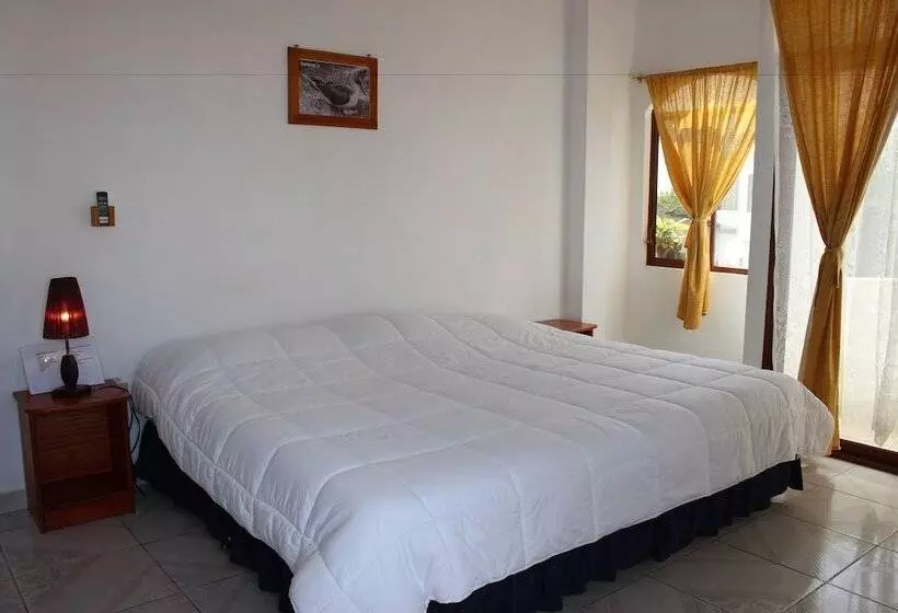 Galapagos Best Hostel