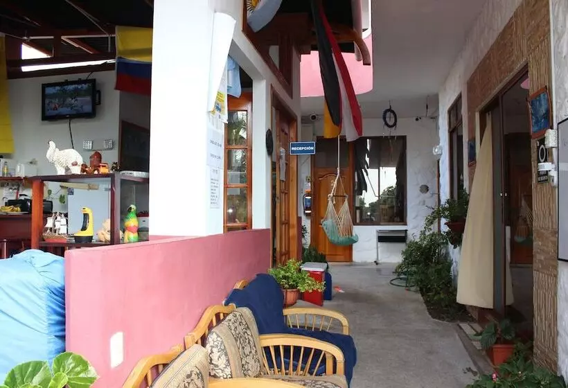 Galapagos Best Hostel
