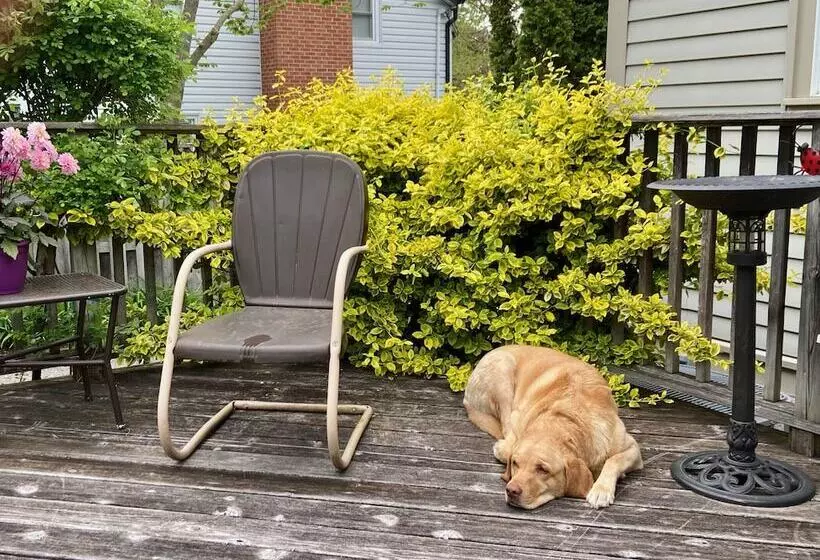 Antique Slumber Old Town Bed & Breakfast