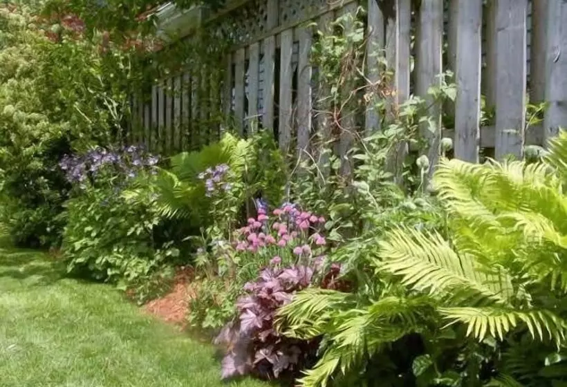 Antique Slumber Old Town Bed & Breakfast