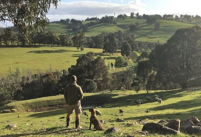 Balingup Highview Chalets