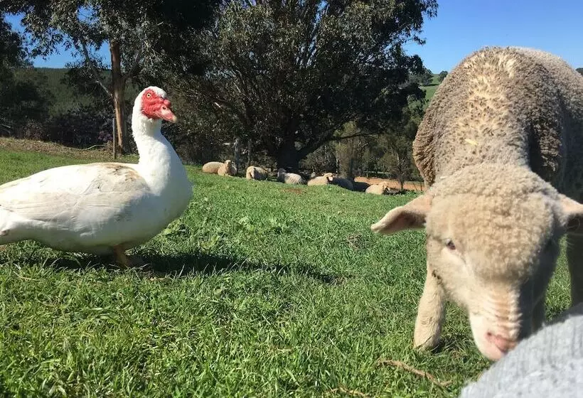 Balingup Highview Chalets