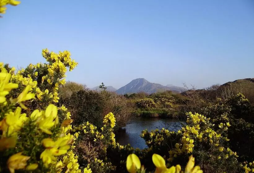 Cloverfox Connemara Hostel