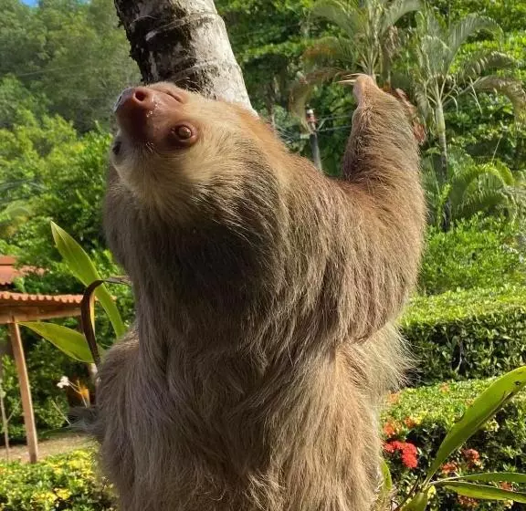 Hotelli Delfin Playa Bejuco