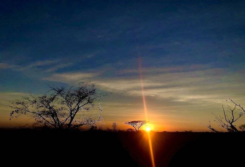 Отель Nedile Lodge