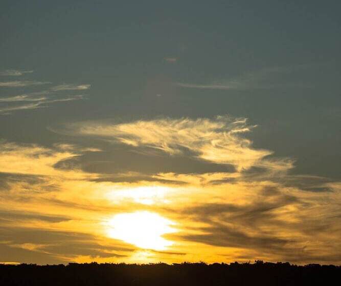 Отель Nedile Lodge