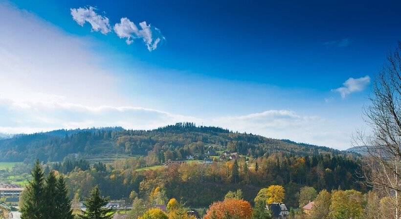 Hotel Rezydencja Izabella