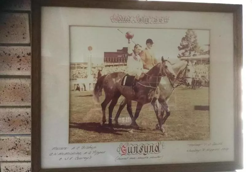 Motelli Gunsynd Motor Inn