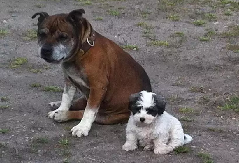 Walcha Royal Cafe & Accommodation