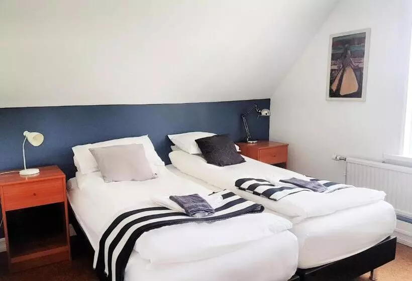 هاستل Refurinn Reykjavik Guesthouse