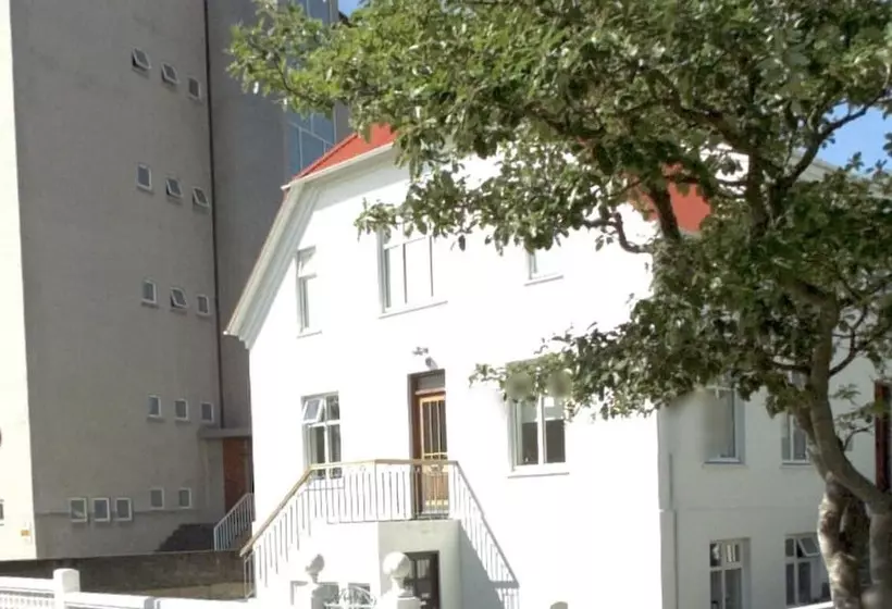هاستل Refurinn Reykjavik Guesthouse