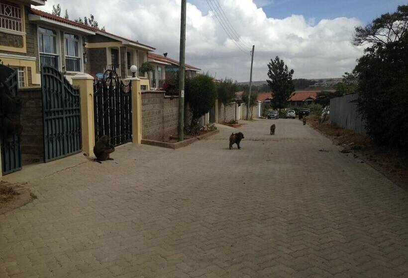 Chester View Homestay   Hostel