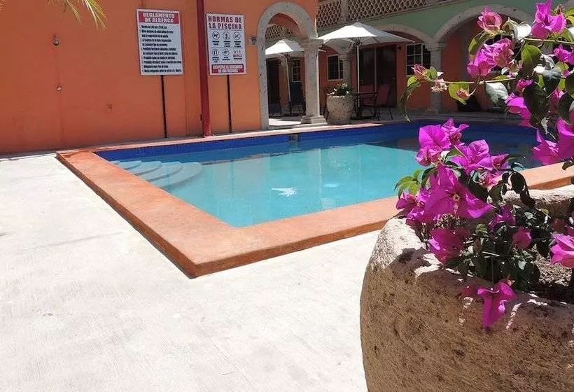 ホテル Cactus Inn Los Cabos