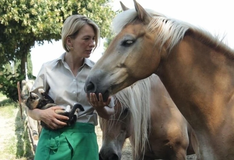 بنسيون Königsroder Hof