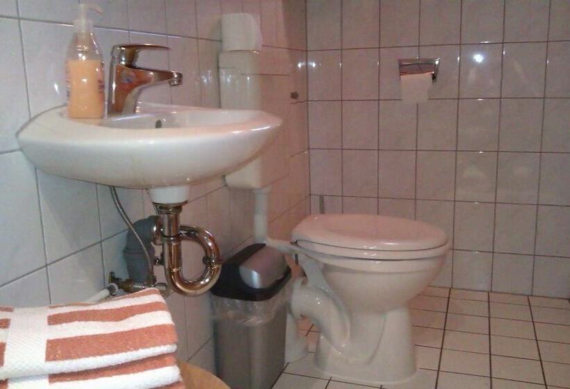 بنسيون Königsroder Hof