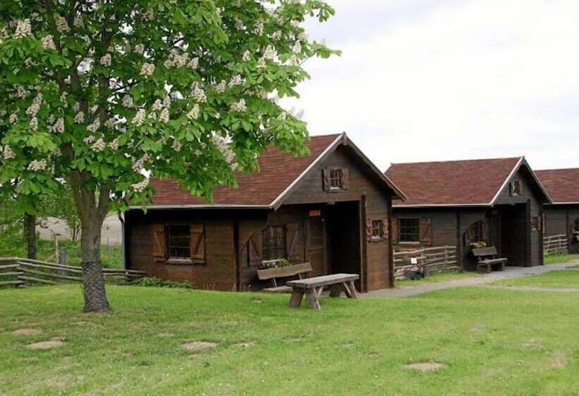 بنسيون Königsroder Hof