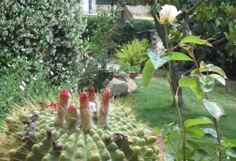 Bed & Breakfast Dessole
