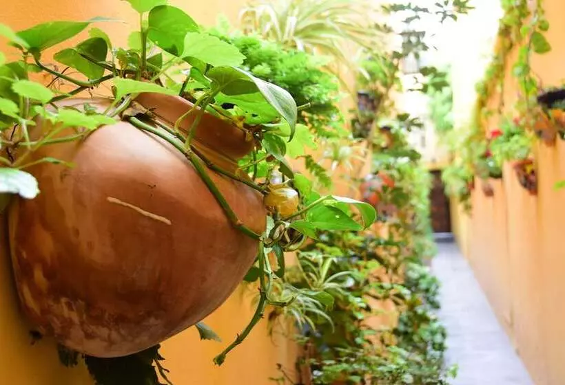 Casa Maricela B&b