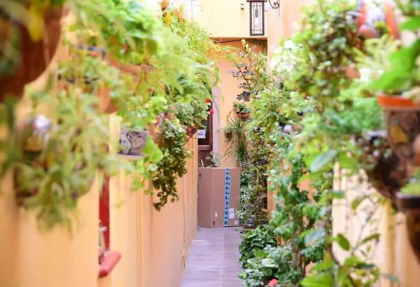 Casa Maricela B&b