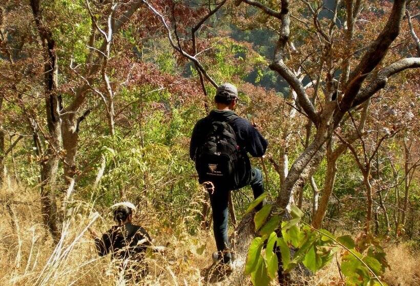 호텔 Auranya The Mystical Himalayan Retreat