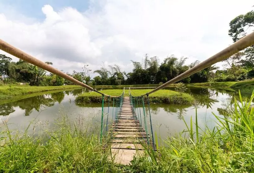 Hotelli Grand Yustik Selabintana By Oyo Rooms