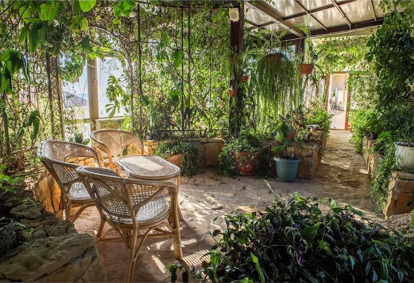 هتل Russky Dom Divny 43°39° Spa