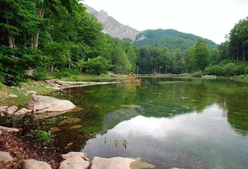 ペンション Guesthouse Anastasia