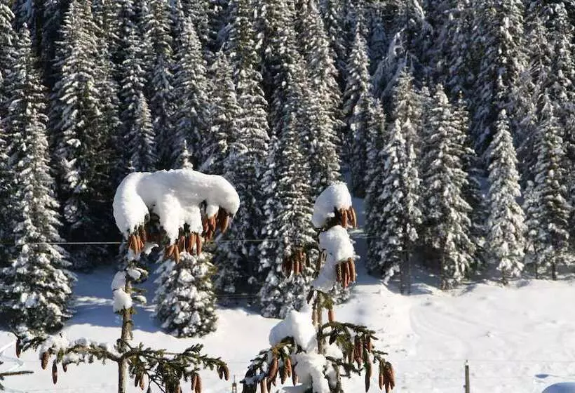 ホテル Mallnitz Appartements