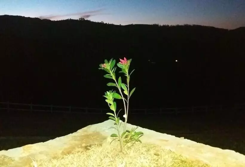 ホテル Pousada Vista Do Paraíso