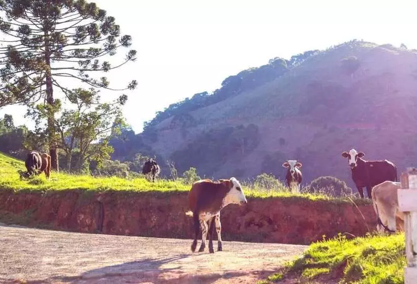 ホテル Pousada Vista Do Paraíso