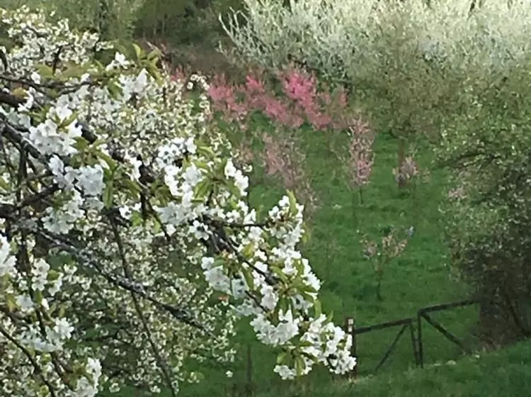 Hotelli Haus Mittelrhein