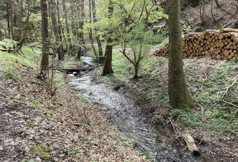 Hotelli Haus Mittelrhein