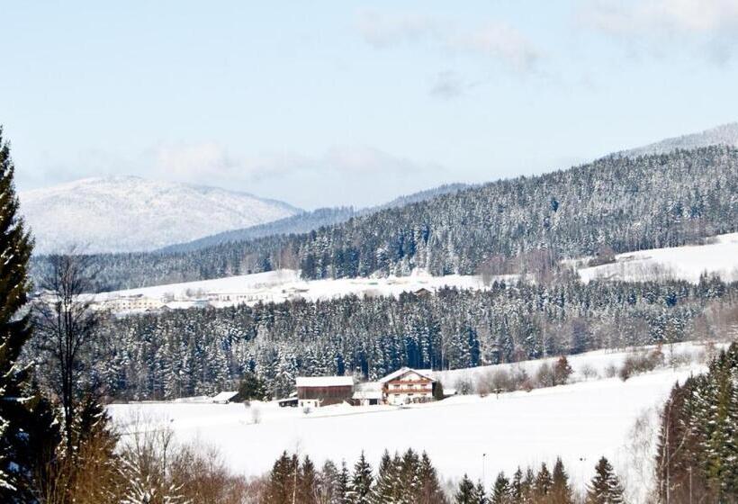 Pension Schuasterhof