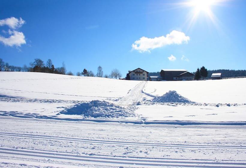 Pension Schuasterhof