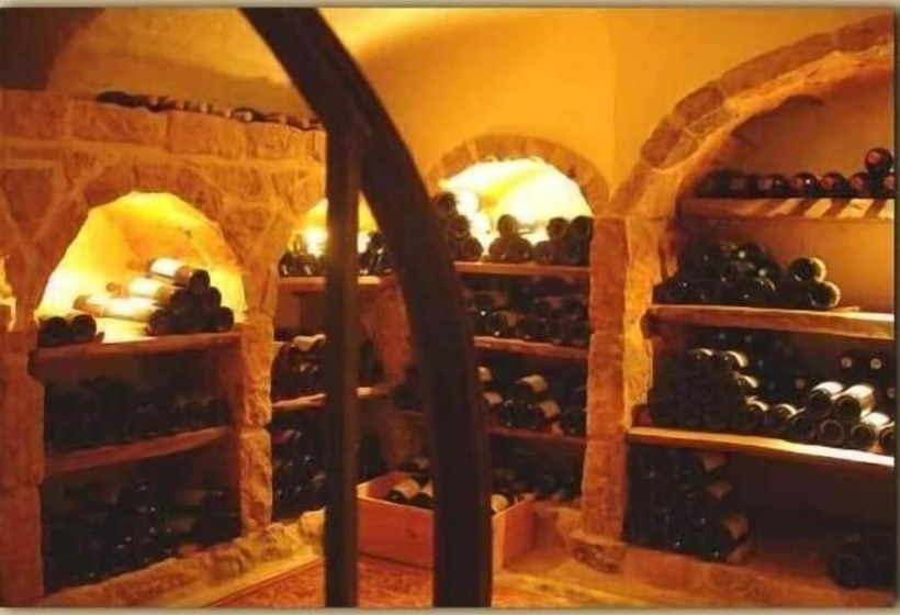 住宿加早餐 T Aards Paradijs