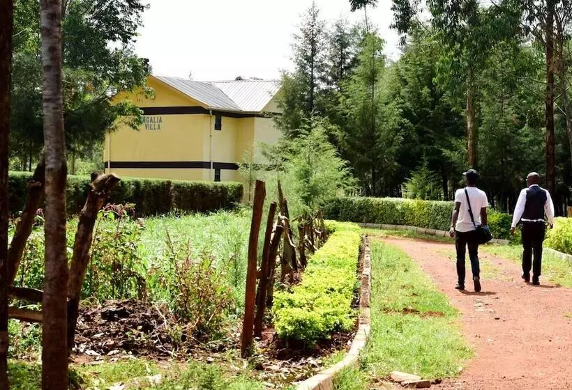 هتل Malava Forest Lodge