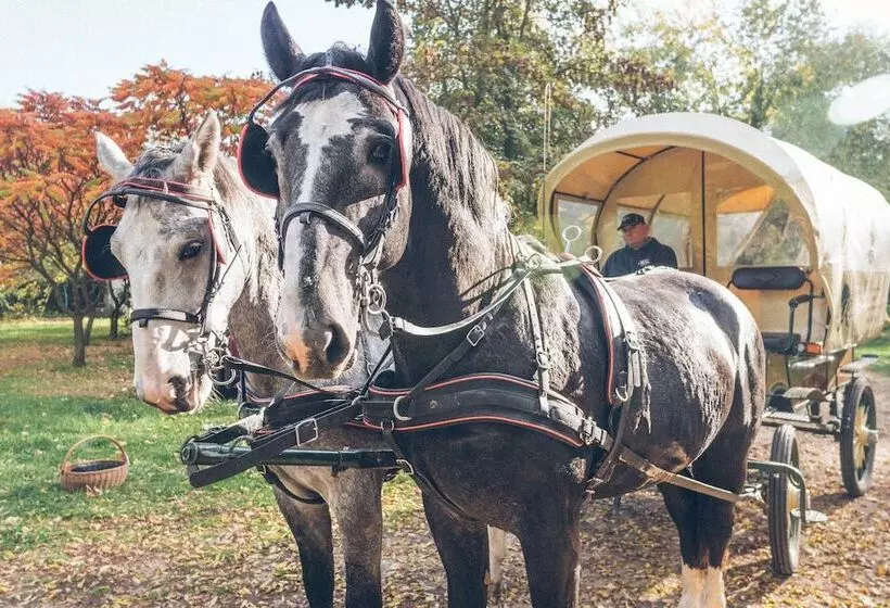 Hotelli The Palace At Osowa Sien