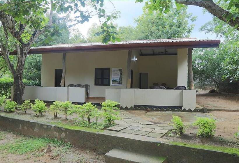 פנסיון Ashane Holiday Bungalow Digana