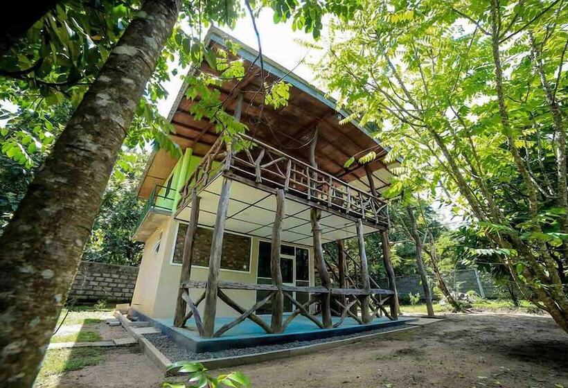 פנסיון Ashane Holiday Bungalow Digana