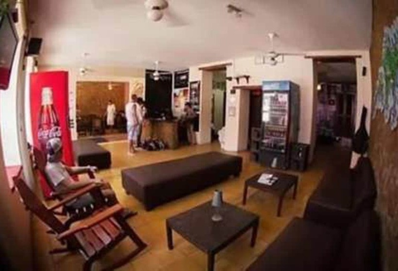 Bothy Puno Backpackers   Hostel