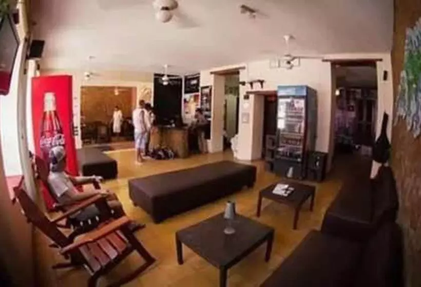 Bothy Puno Backpackers   Hostel